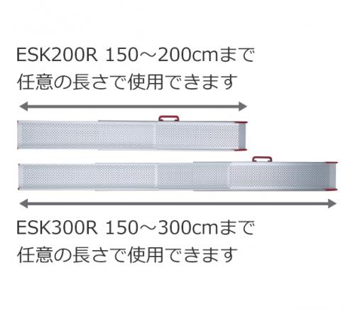 スライドスロープ ESK ESK200RESK-300R